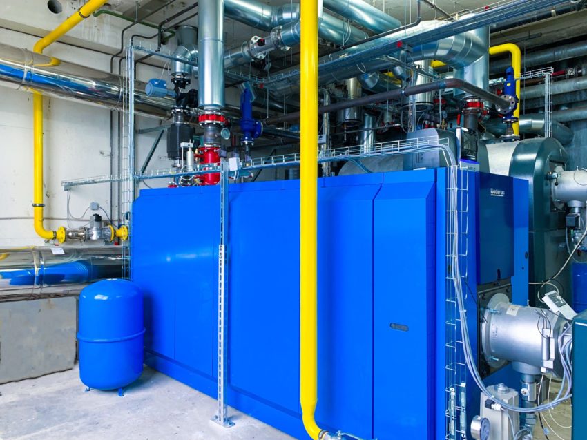 Vion Beef B.V. | Buchloe