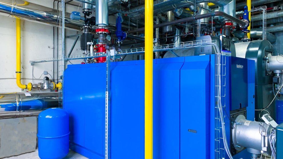 Vion Beef B.V. | Buchloe