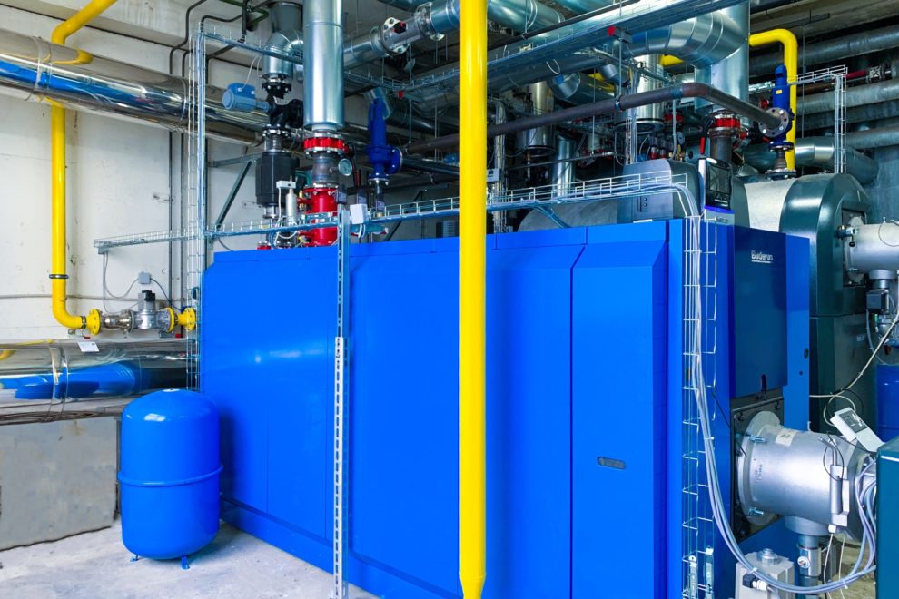 Vion Beef B.V. | Buchloe